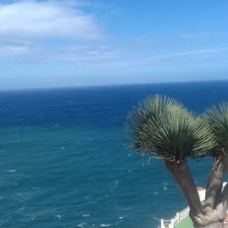 Sea View 로스 레알레호스