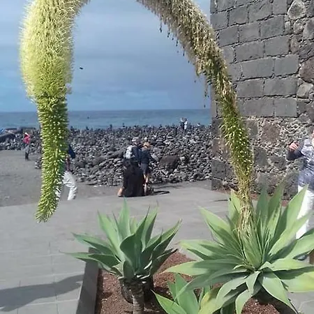 Sea View * Los Realejos