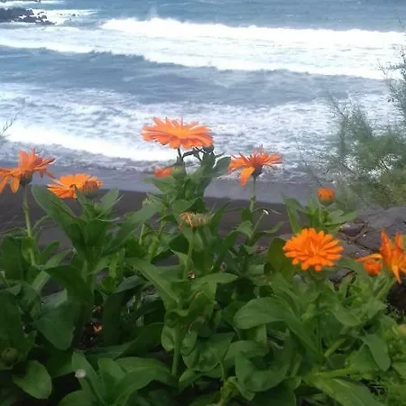 Sea View 洛斯雷尔雷赫斯
